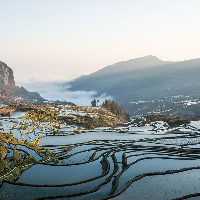 Visit China Now tweet media