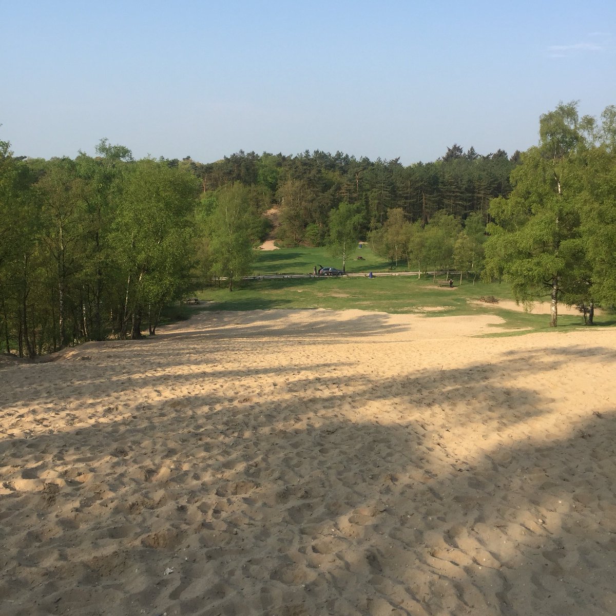 Vanochtend weer ontzettend genoten van een trailruntraining bij de Kaapsebossen. ‘s Ochtends nog heerlijk koel in het bos #Iloverunning #trailrunning