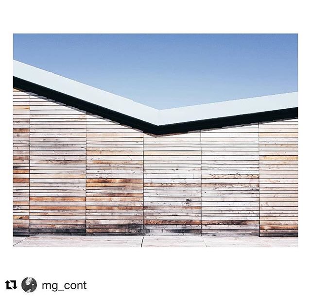 Particolare.Azienda Agricola Fiorentino.
<a href="/fiorentinowines/">Fiorentino Wines</a>