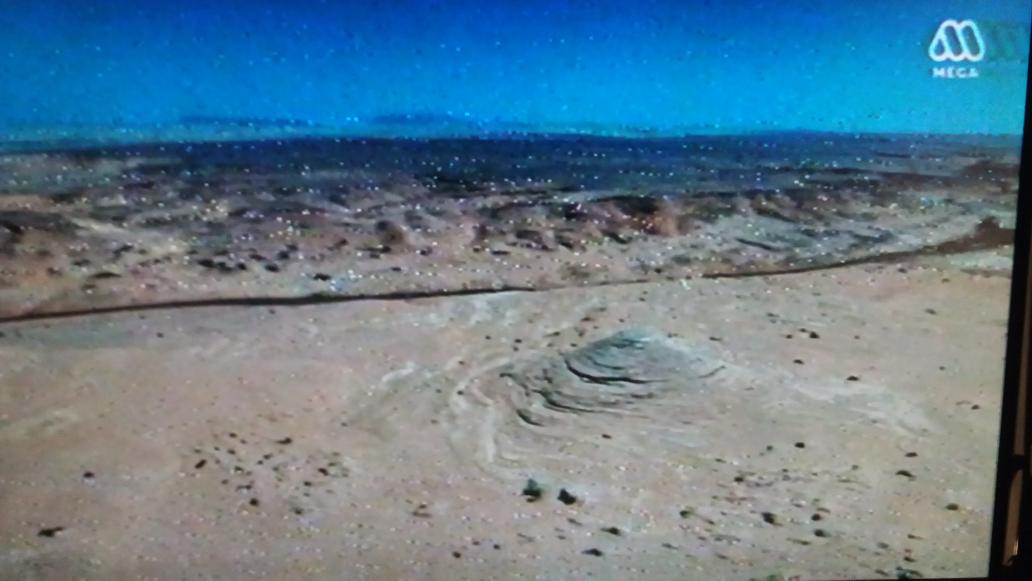 "Cuidar, querer mi tierra...la Tierra!" 🌍 #AzulProfundo <a href="/tv_Amaro/">Amaro Gómez-Pablos</a> <a href="/culturamega/">Cultura Mega</a> #Jovita 🌊🐟🐚🎥 #PlayaBlanca #Ostiones