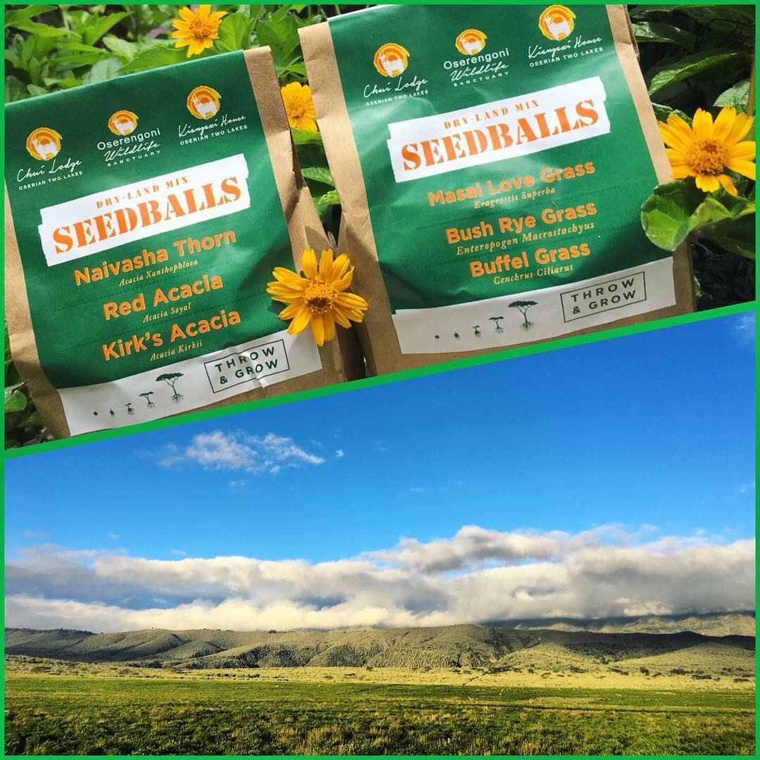 Happy World Earth Day Everyone! We are very excited to debut our new seedballs from @seedballskenya . . . 🌱🌰Kenya looses 12,000 ha of forest due to deforestation every year. We need to take action now to preserve it all for future generations! <a href="/cookswelljikos/">Cookswell Jikos and Seedballs Kenya</a> #WorldEarthDay