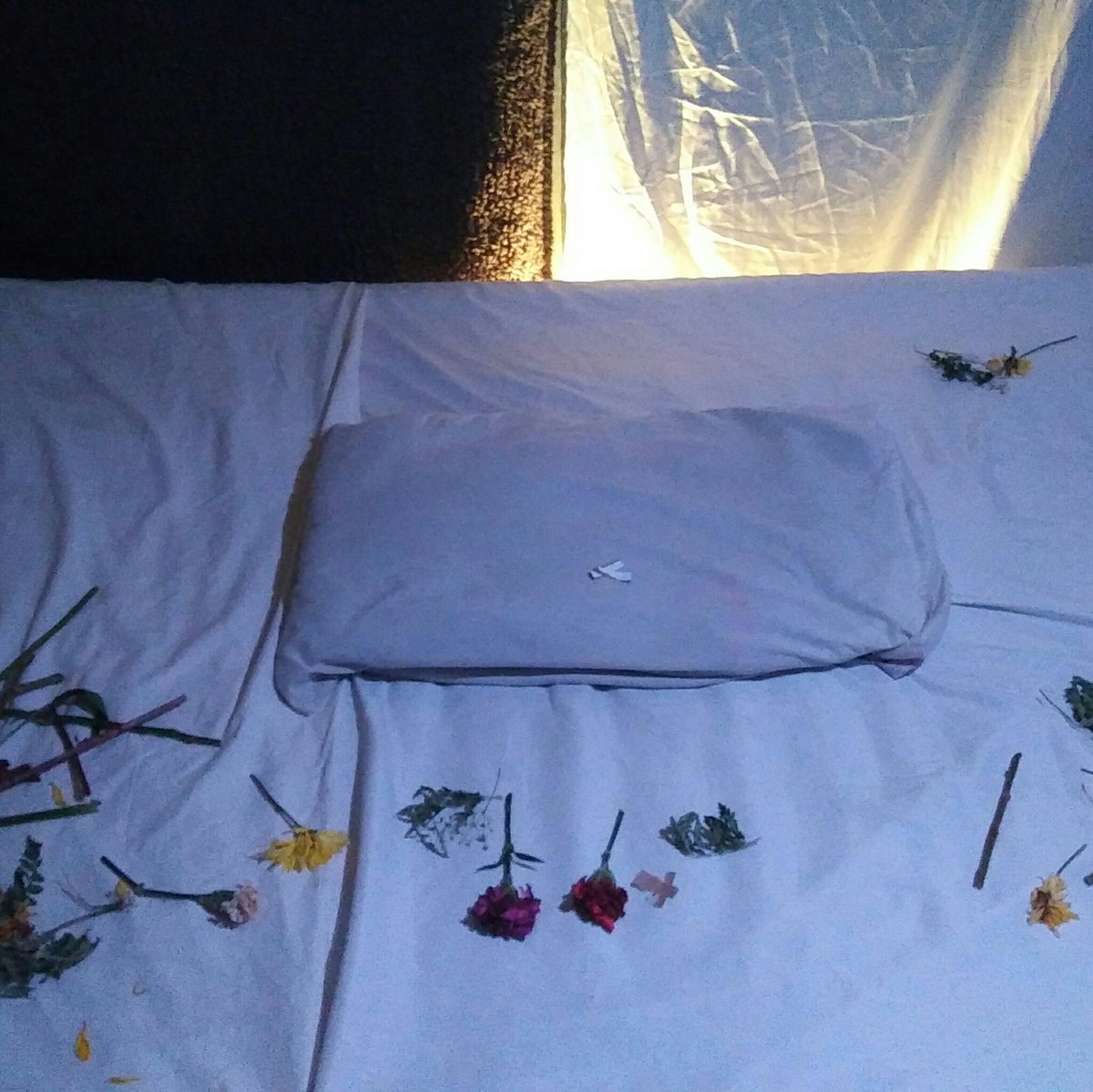 TheNotQuan's tweet photo. blanc https://t.co/cDKFdBq89X