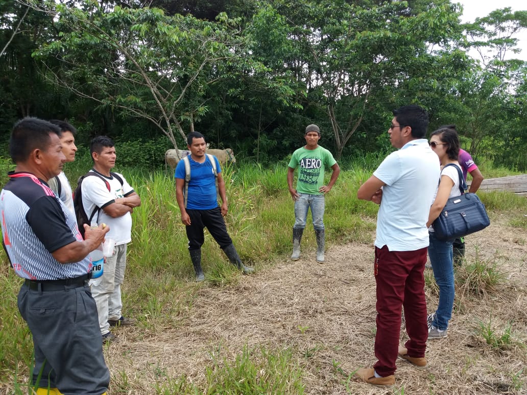 josevalarezo's tweet image. #Samik otra comunidad beneficiaria del Proyecto de mejoramiento por monta directa un aporte del @GADMTiwintza #SeguridadAlimentaria