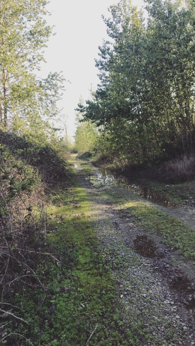 elr4ngo's tweet photo. #photographylovers #photography #love #art #spring #railroads #industrialshoot #donttellmyboss #ineedanewcamera #instagood https://t.co/6lWIvDWNlL
