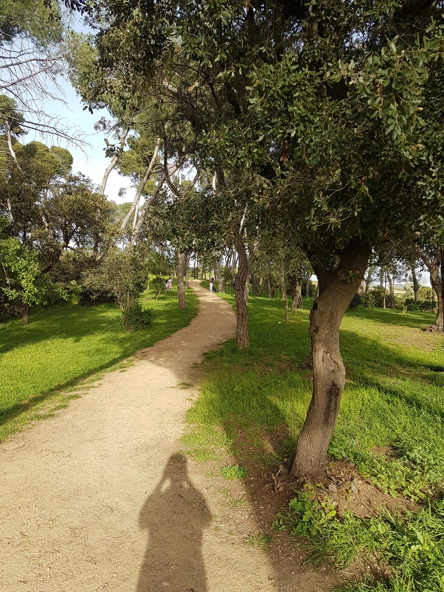 CastiJordi's tweet photo. No fan falta fer projectes faraònics per gaudir del parc de Ca n'Oriol. 

#RubiCity @SaveCanOriol https://t.co/FQCt18e6Aw