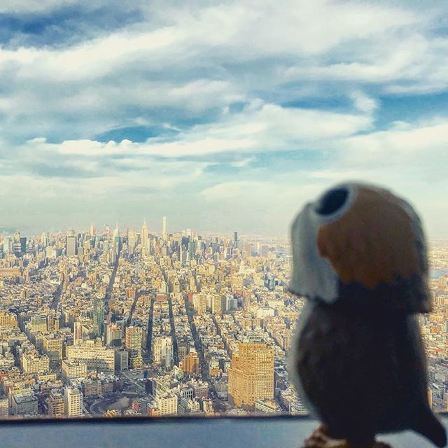 shaunspringer's tweet photo. Big City. little porg. #DatPorgLife
.
.
.
.
.
.
.
.
#porg #porgs #porgsofinstagram #porgsinpublicplaces #porgstarwars #NYC #worldtradecenter #nycphotographer #nycphotography #photoseries https://t.co/oq1w3gqkpT