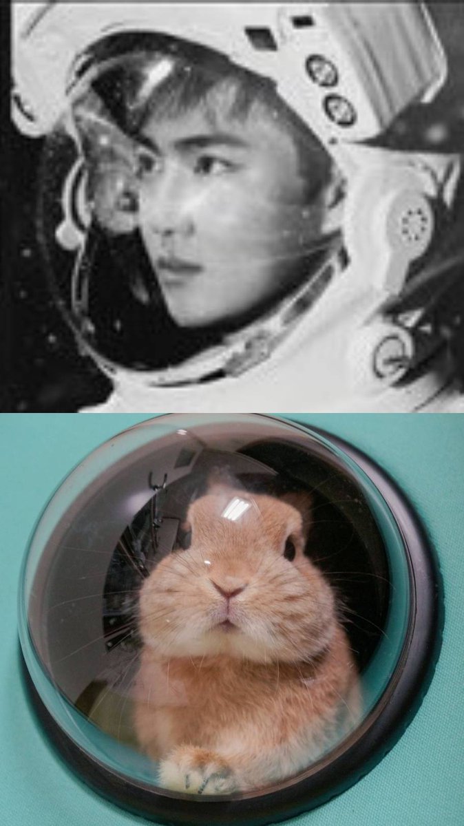 yuanweihuas's tweet photo. suho as a bunny: a thread
#myeontokki #myeonbunny #suhorabbit https://t.co/se7NuhYiX8