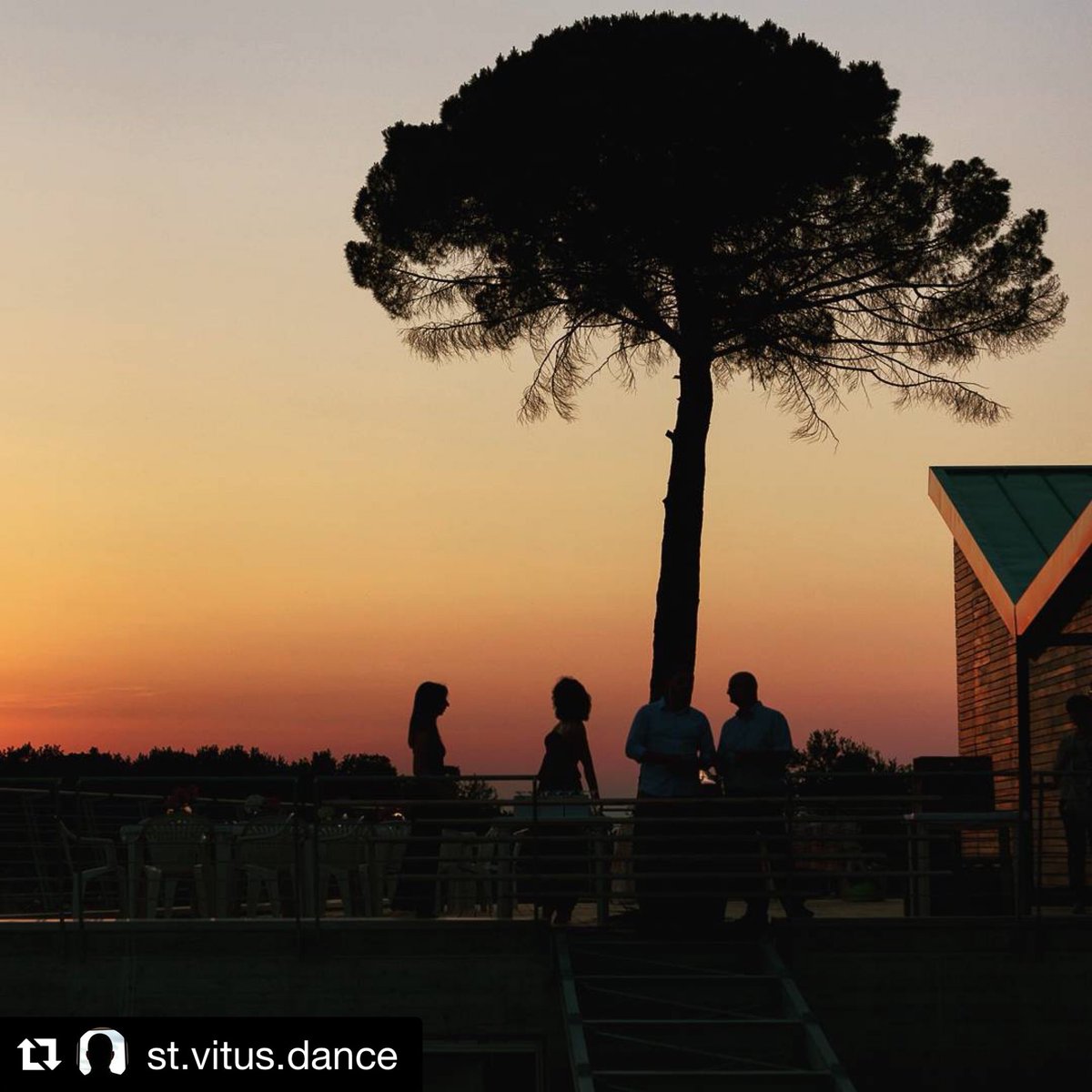 Sunset. Azienda Agricola Fiorentino Paternopoli.
•
<a href="/fiorentinowines/">Fiorentino Wines</a>