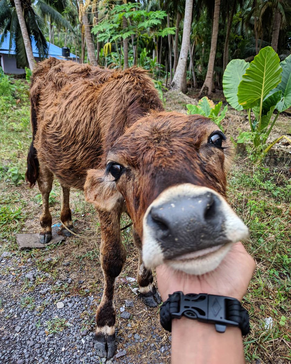 Everyday is Earth day! Let's protect our beautiful planet and be sensitive towards all the beings we share it with.
#earthday2018