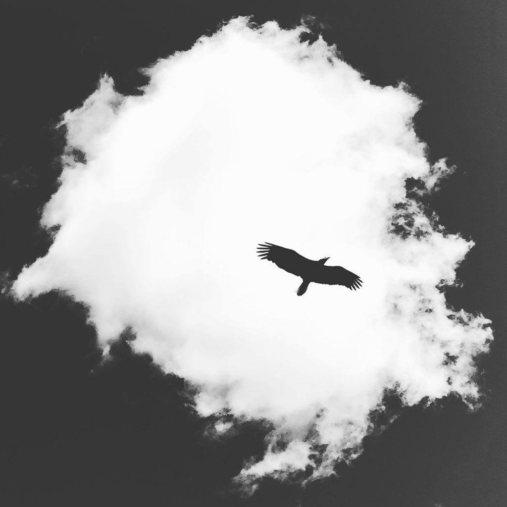 Jessica__Lucci's tweet photo. My most personal poetry collection about surviving domestic abuse and violence is FREE for all my Blog Buddies With Benefits.  https://t.co/oBRKSsRfWe #nationalpoetrymonth2018 #nationalpoetrymonth #earthday #earthday2018 #domesticviolencesurvivor #domesticabusesurvivor #metoo https://t.co/unHkCL4Ahq