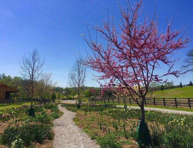ClayWalker's tweet photo. How could you not love the Earth when it looks like this? Happy #EarthDay! https://t.co/xevMuS3XmZ