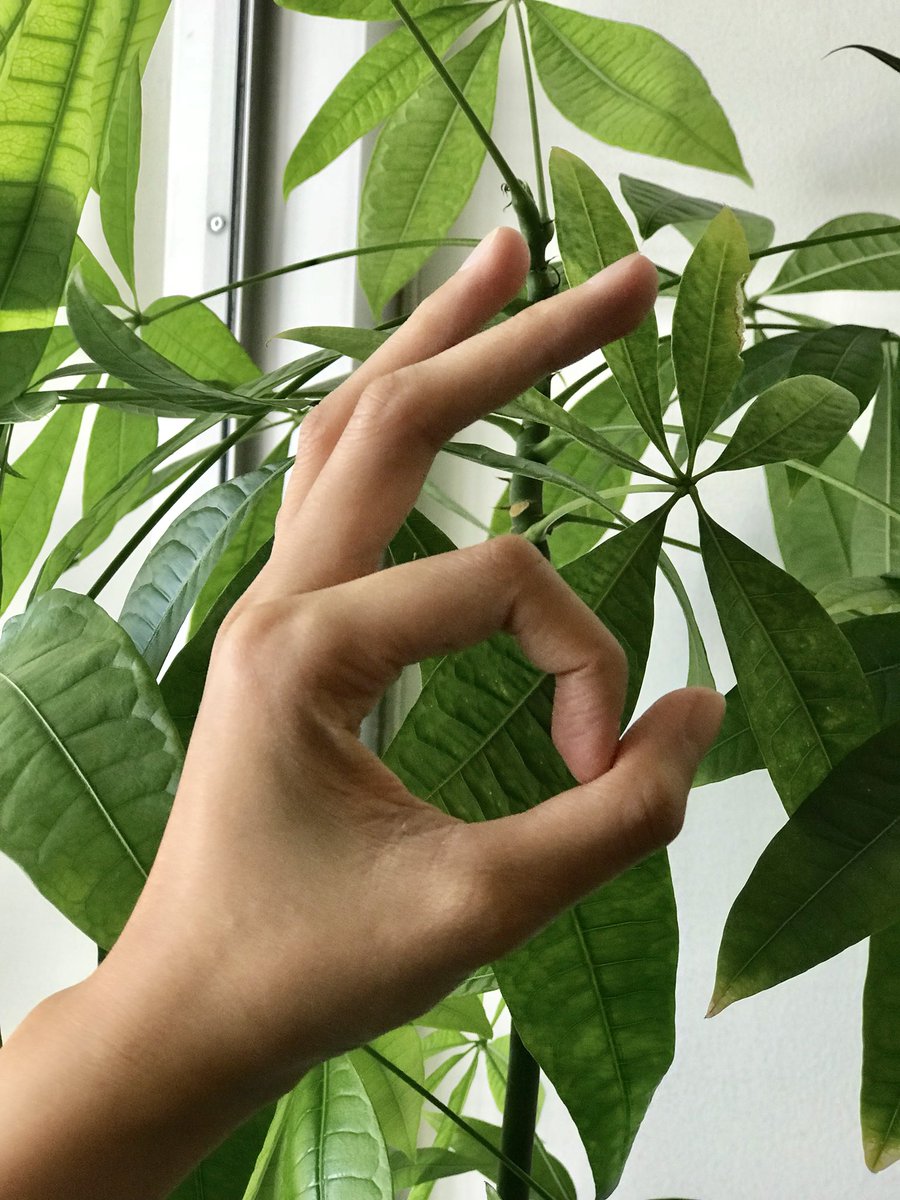 Every day is #EarthDay // follow these tips to be green every day. 🌿
1. Borrow and fix instead of buy.
2. Own green appliances. 
3. Use utilities wisely. 
4. Compost and recycle.
5. Use green products. 
6. Walk, bike, bus, carpool...