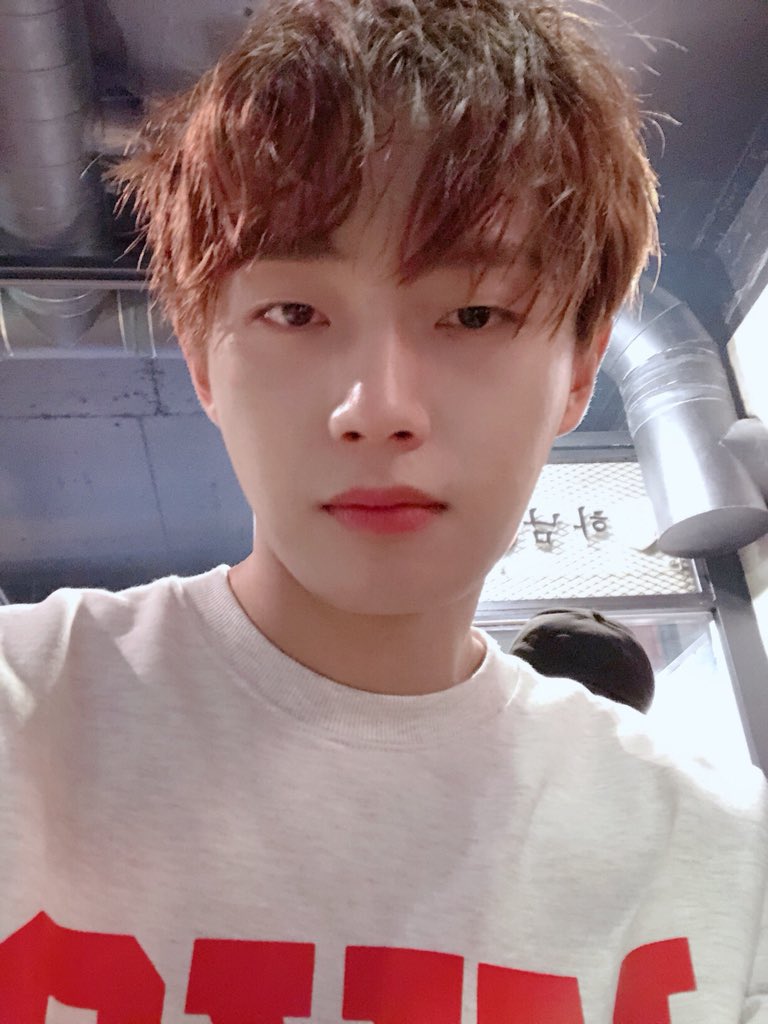 JBJ tweet media