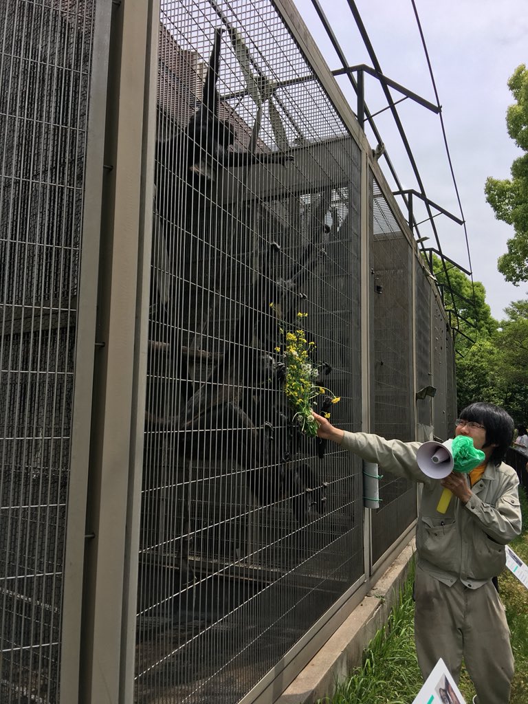 Primates Japan Monkey Centre On Twitter Zoo Live Flowers For