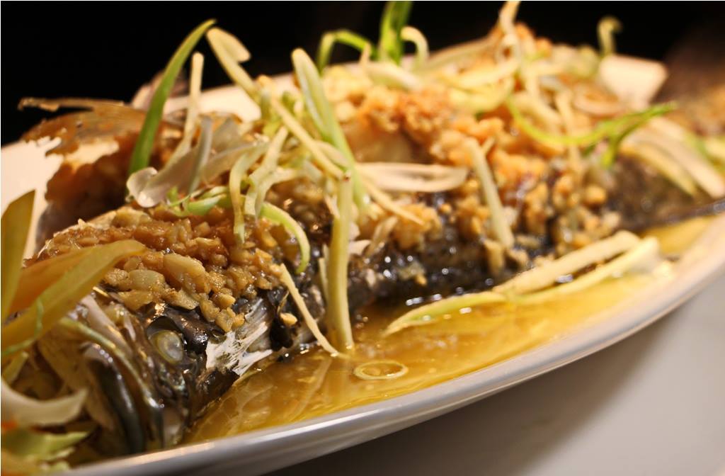 SkylightVeranda's tweet photo. Monday Grandee!
Dine at Veranda Restaurant by Skylight Hotel and experience our mouth-watering Filipino-Chinese Cuisine for an affordable price! Enjoy our LIVE Seafood and Grilled Specialties at stake =)
#Foodporn #foodislife #skyisthelimitwithskylight #bestoftheday #palawanfood https://t.co/Z7NrXj8h71