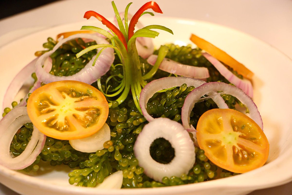 SkylightVeranda's tweet photo. Monday Grandee!
Dine at Veranda Restaurant by Skylight Hotel and experience our mouth-watering Filipino-Chinese Cuisine for an affordable price! Enjoy our LIVE Seafood and Grilled Specialties at stake =)
#Foodporn #foodislife #skyisthelimitwithskylight #bestoftheday #palawanfood https://t.co/Z7NrXj8h71