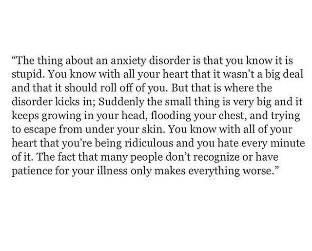 _paigep_'s tweet photo. important !! https://t.co/KyKwD2OeIc