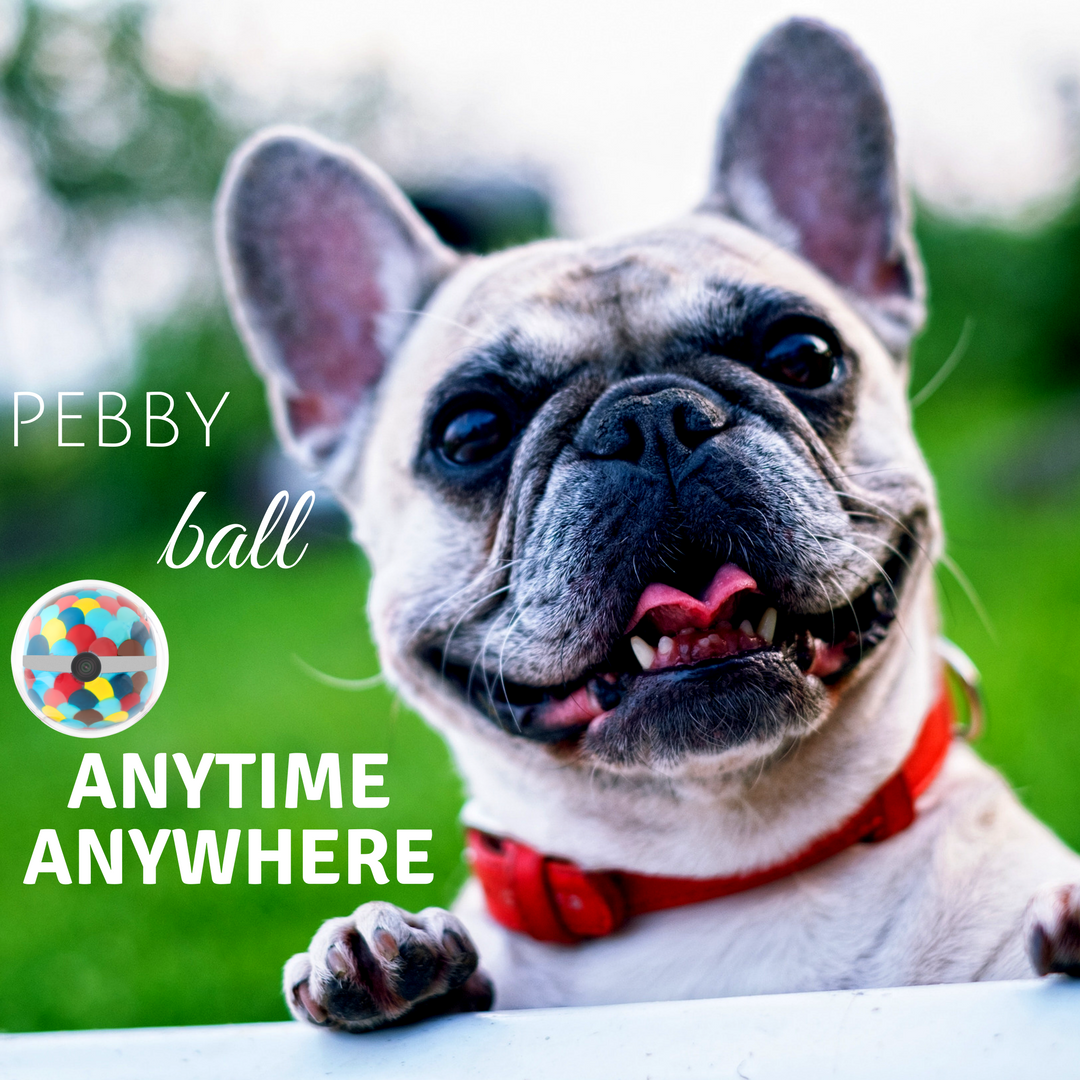 getpebby's tweet photo. @getpebby Pebby anytime anywhere. Pre-Order your pebby ball: https://t.co/97GOwwlKSa https://t.co/D5M250n8Pn