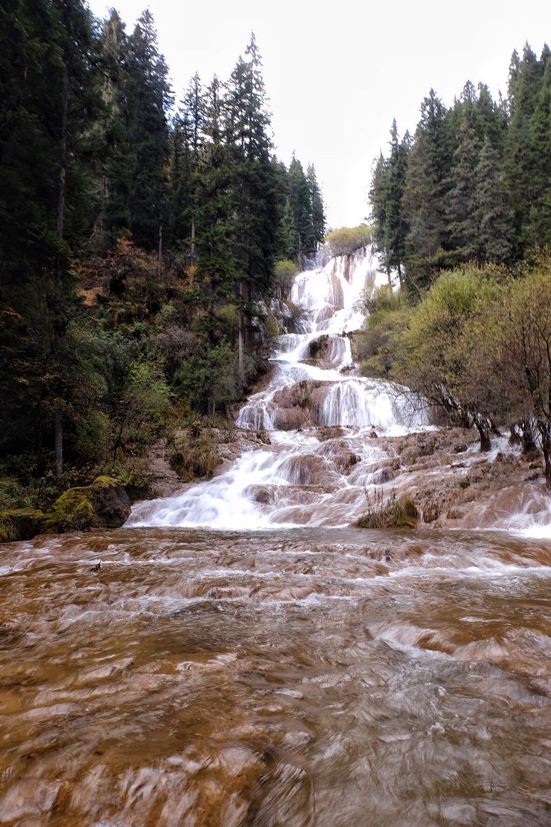 ขายของกินของใช้ทุกอย่าง tweet media