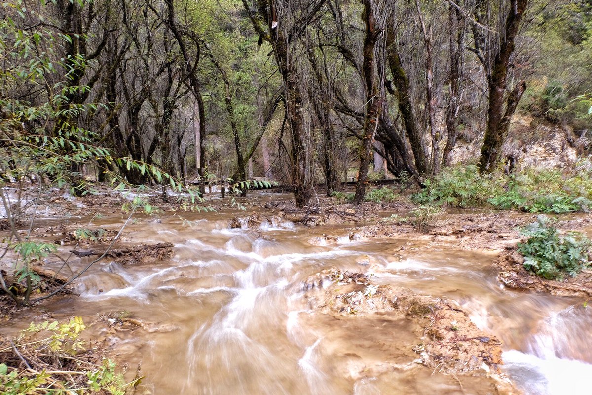 ขายของกินของใช้ทุกอย่าง tweet media
