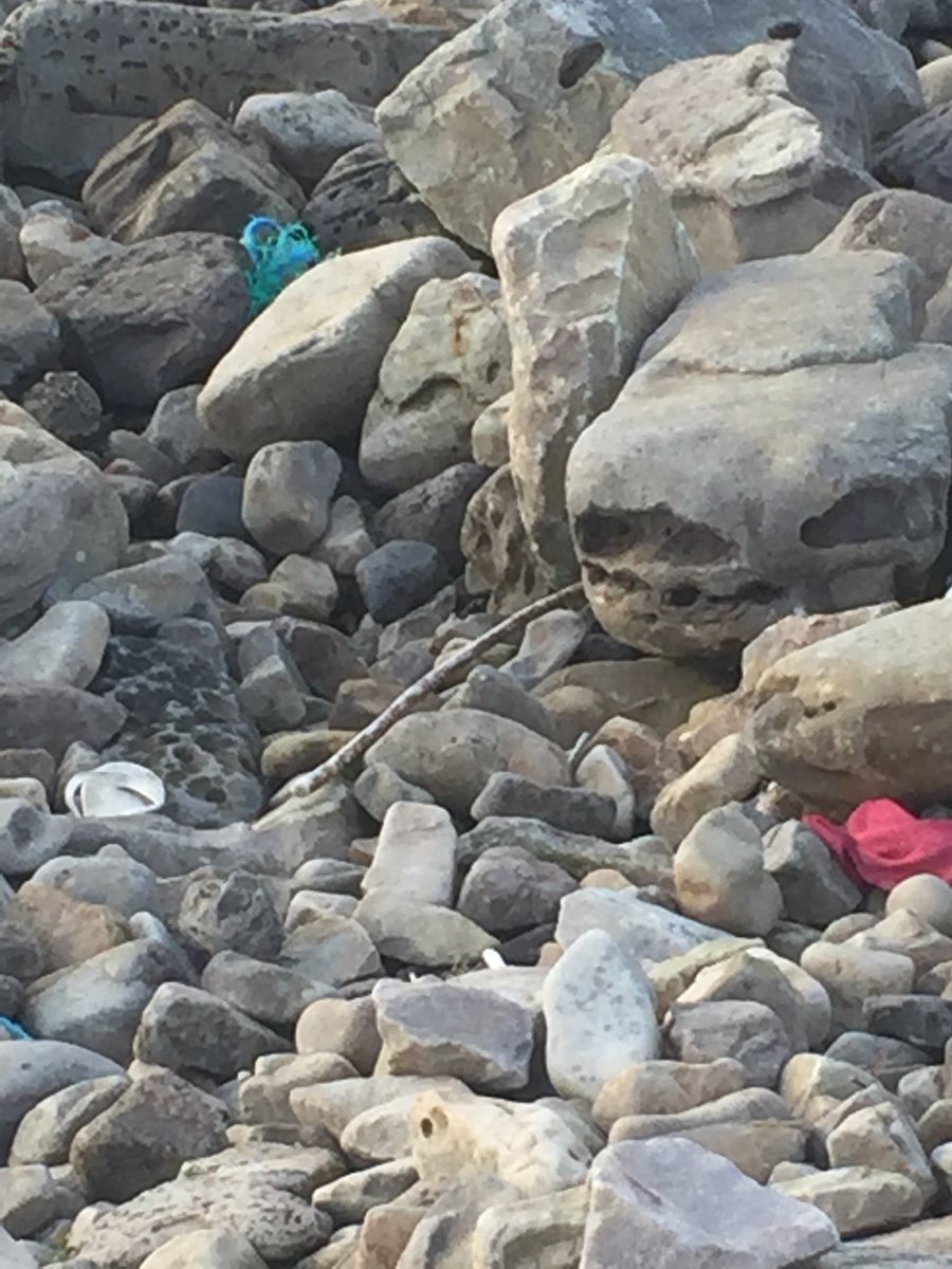 KilcarTidy's tweet photo. So disappointing to see #plastic everywhere you look when your out for a walk . Time to clean up hoping to organise #cleanup shortly #bigdonegalcleanup https://t.co/iQVqqO5c6p