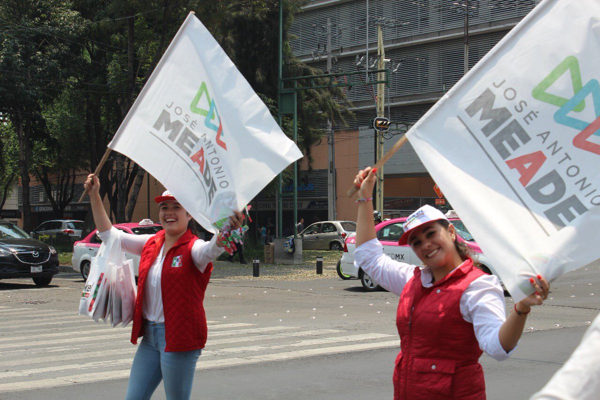 Fernanda Bayardo tweet media