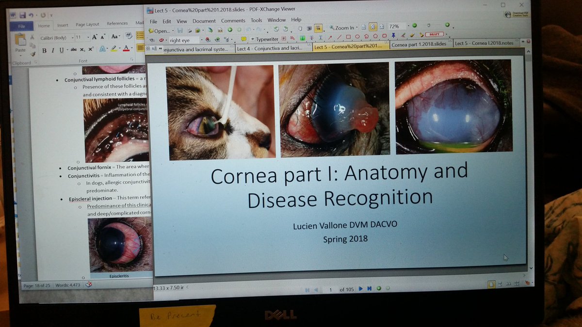 EliseBirkner's tweet photo. First final of the semester is Small Animal Med. Here's hoping Dr. Barton's bonus points pull me through! #3VM #Vetschoollife #hopefullymylastsmallanimalexam #idonotwanttojinxmyself https://t.co/B7pBiM1EqK