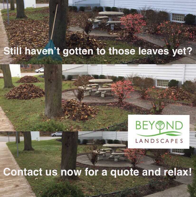 BeyondLandscapz's tweet photo. Contact us now for a quote!  #YQG #windsor #lasalle #tecumseh #belleriver #amherstburg #springcleanup #propertymaintenance #landscaping #leafcleanup #gardening #lawncare https://t.co/zg8msqQVNG