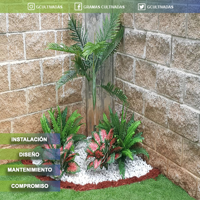 GCultivadas's tweet photo. Porque venimos con más energías, mejores equipos y materiales, ofertas únicas, creatividad y sobretodo ganas de mejorar nuestro país 🍃👏🏻👏🏻🍃
¡Esperamos su contacto! 📞Teléfonos📞: 60904961 o 62 - 3926102 o 03📍¡Trabajamos en toda Panamá! 🇵🇦 https://t.co/14aWR5XooH
