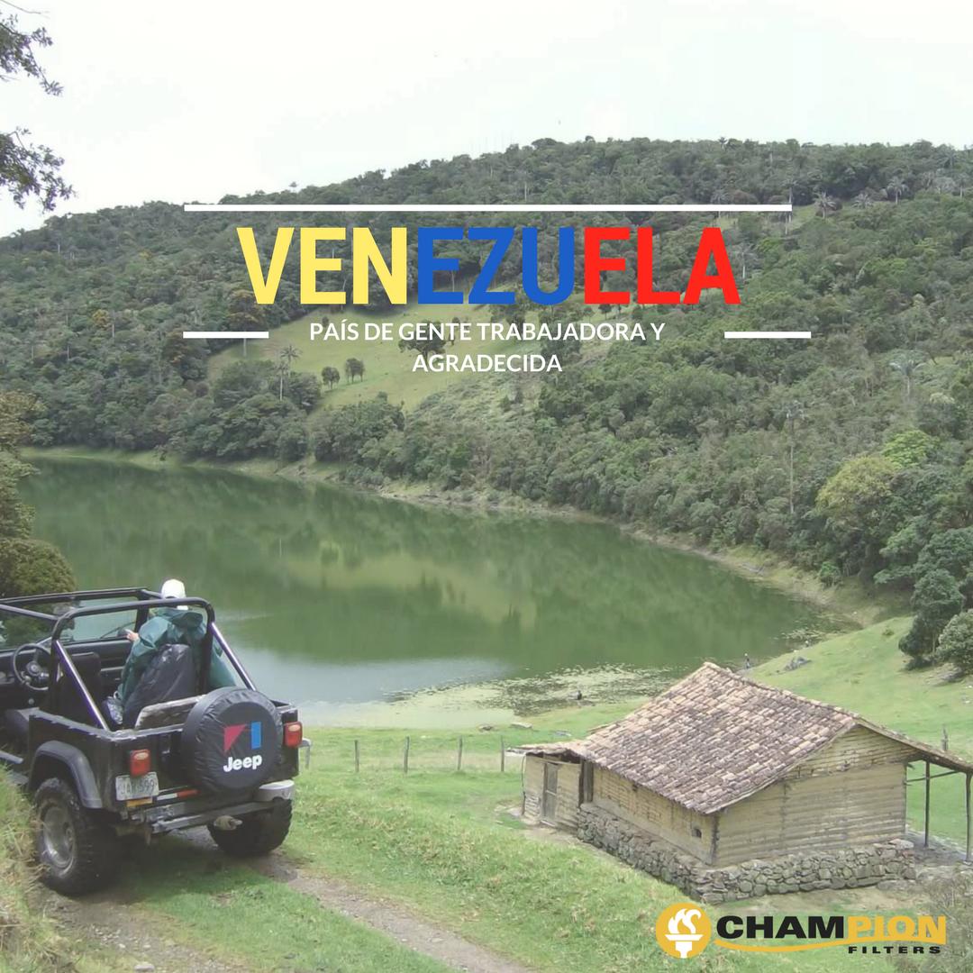 FiltrosChampion's tweet photo. Somos un país de gente agradecida y trabajadora, #ChampionFilters se une al esfuerzo que cada uno de ustedes realiza por hacer de Venezuela un país de bien y progreso. https://t.co/d96VANJGH2