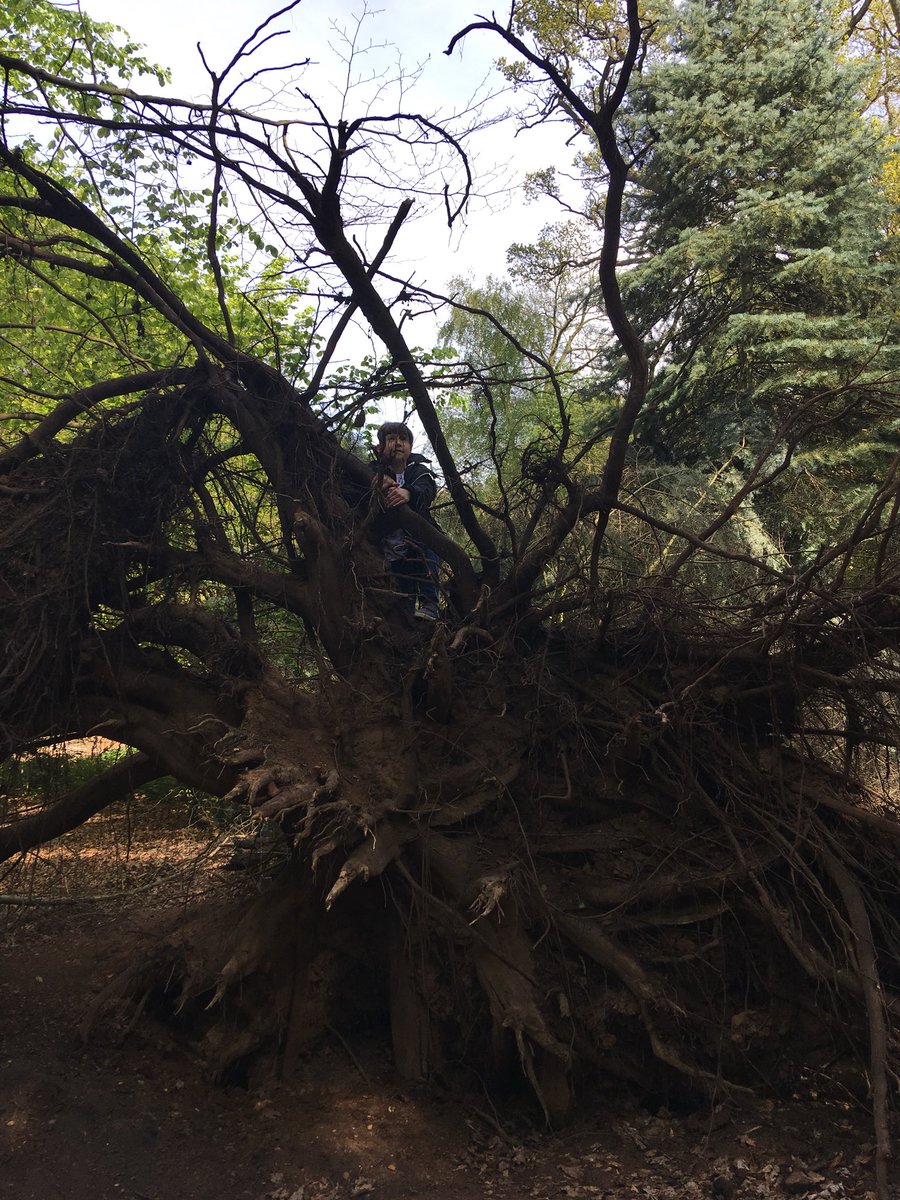 TeTezza's tweet image. Love walking in the woods #nature #MakingMemories #love #woods