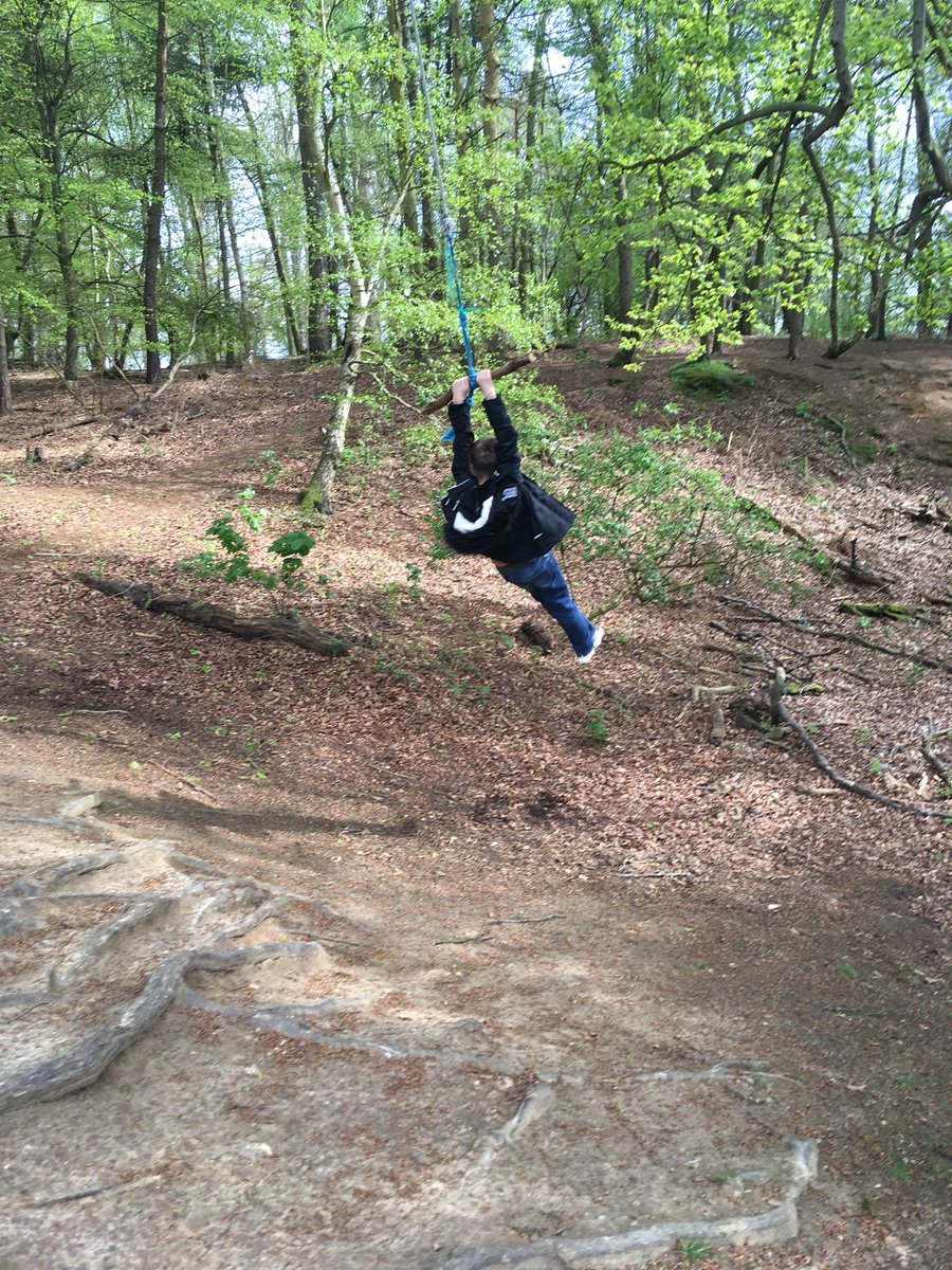 TeTezza's tweet image. Love walking in the woods #nature #MakingMemories #love #woods