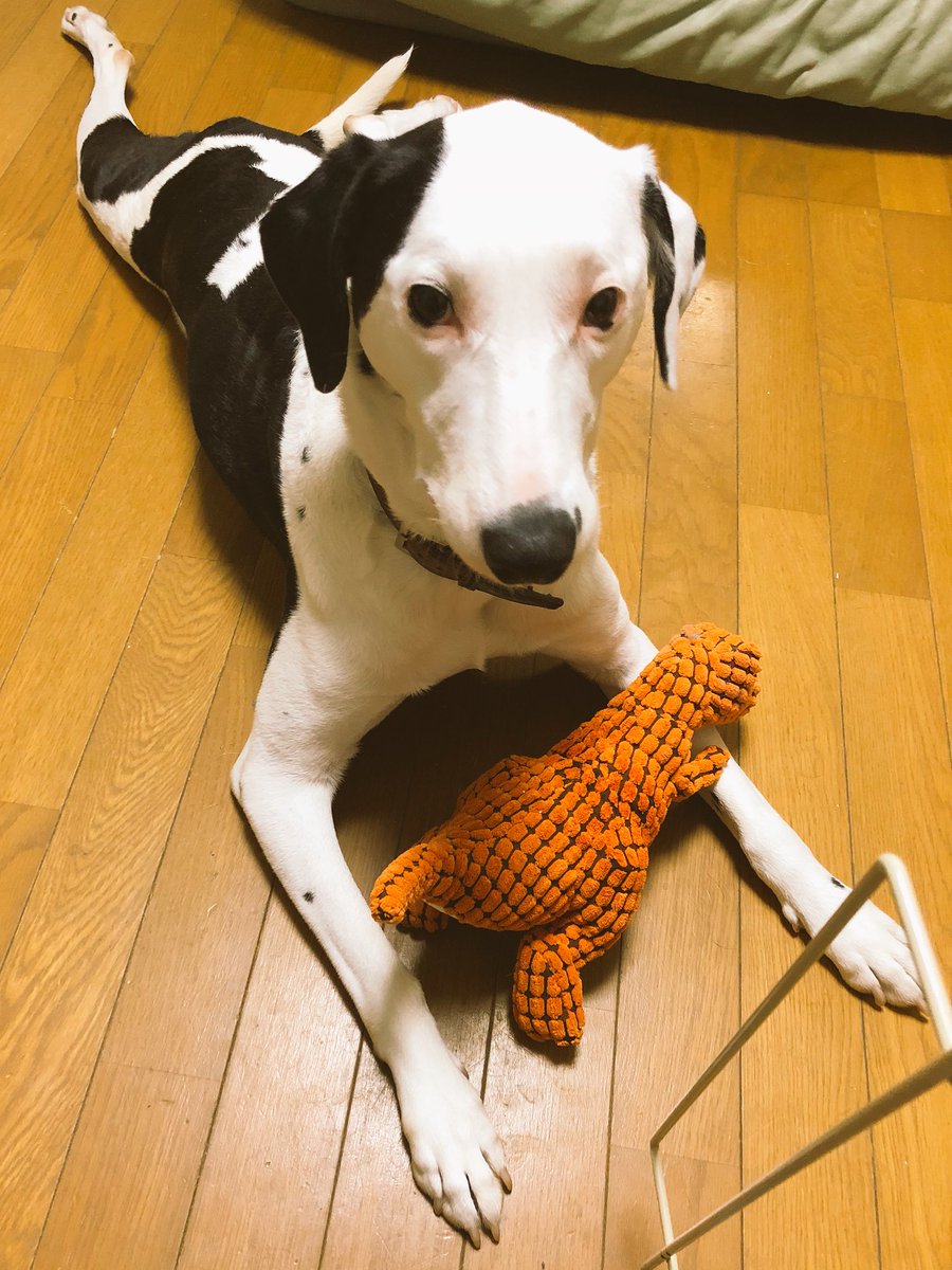 とあるツイートから独り歩きして 地味に残酷なネタの大喜利状態になった もともと残酷で有名だった Togetter とあるツイートから独り歩きして 地味に残酷なネタの大喜利状態になった もともと残酷で有名だった Togetter