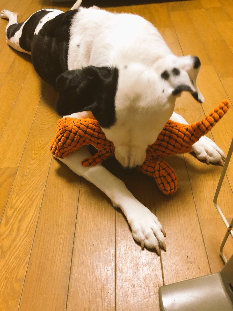 とあるツイートから独り歩きして 地味に残酷なネタの大喜利状態になった もともと残酷で有名だった Togetter とあるツイートから独り歩きして 地味に残酷なネタの大喜利状態になった もともと残酷で有名だった Togetter