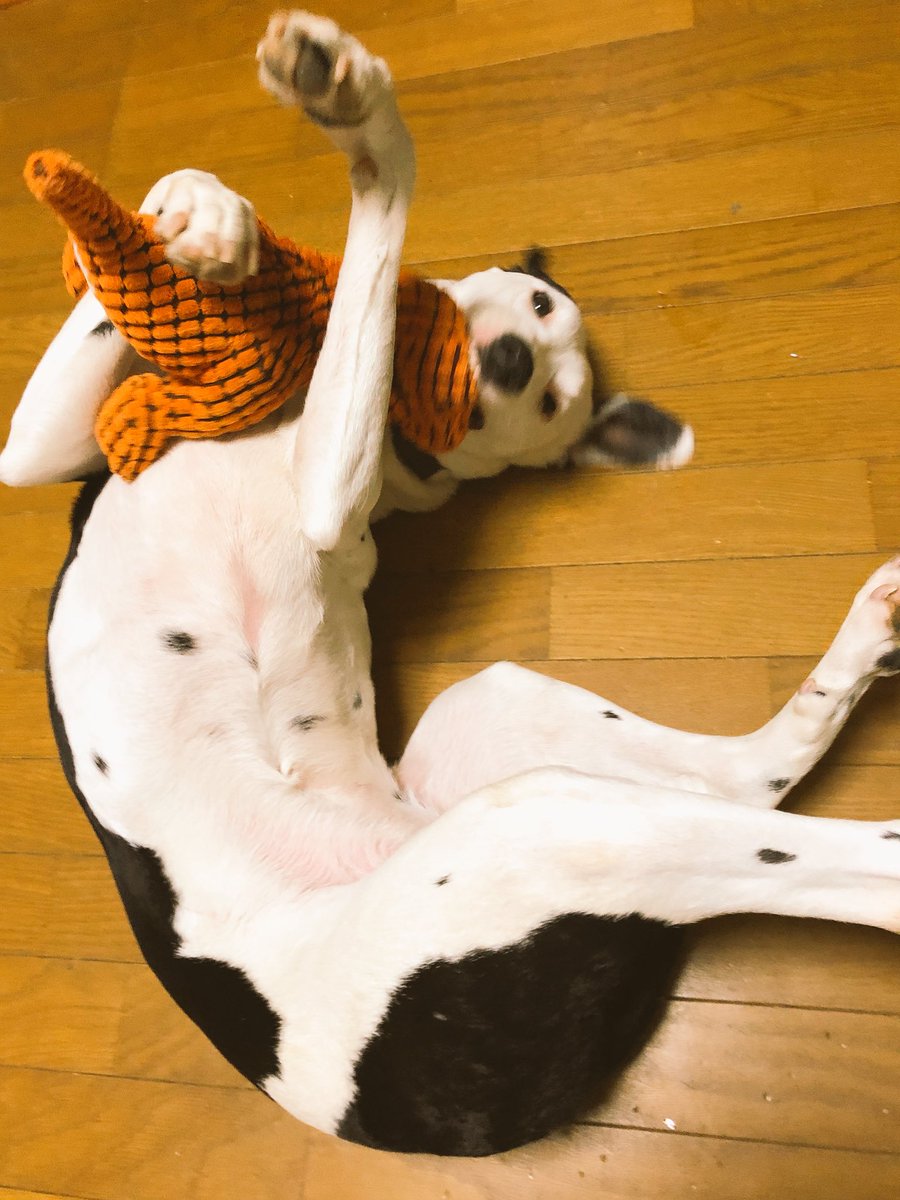 とあるツイートから独り歩きして 地味に残酷なネタの大喜利状態になった もともと残酷で有名だった Togetter とあるツイートから独り歩きして 地味に残酷なネタの大喜利状態になった もともと残酷で有名だった Togetter
