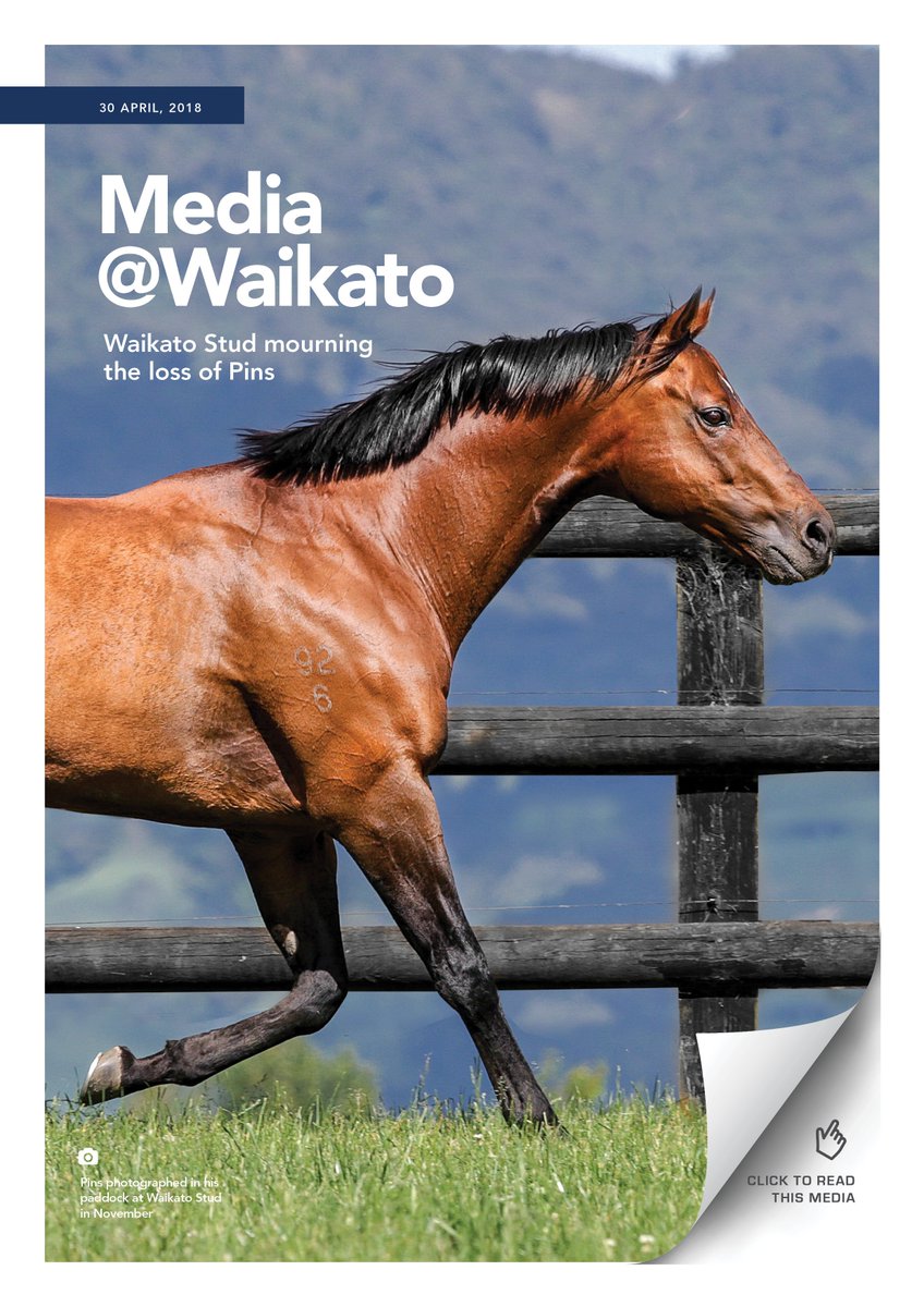 It is with great sadness that Waikato Stud announces the passing of champion resident sire Pins. Pins has been laid to rest under the trees at the stallion barn alongside fellow champion stallions O’Reilly, Centaine and Pompeii Court.

Click here to read: bit.ly/2vZkfXO