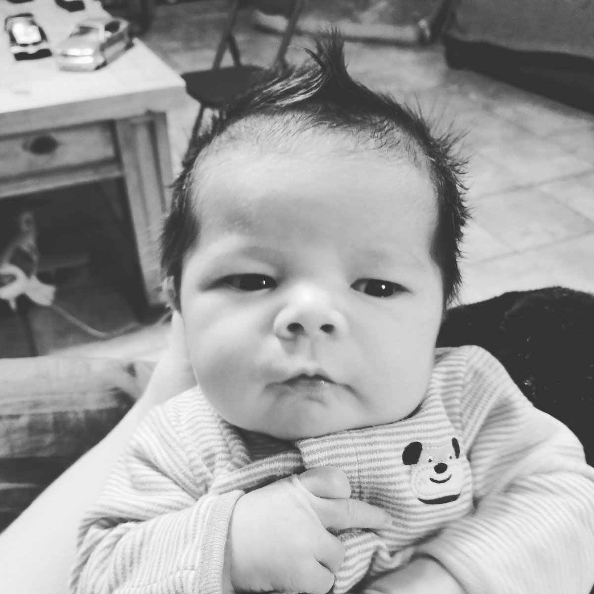 chey_plummer's tweet photo. My sweet little Jax 😍 https://t.co/FZV06Ngsyl