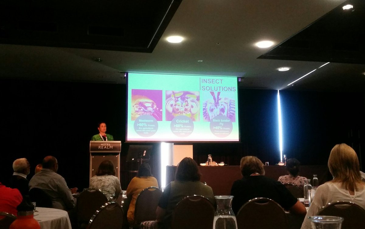 aksnowden's tweet photo. @Goterra_CEO of @GoterraCBR takes to the floor at #PIEFA2018 to discuss insect farming and sustainable food production. Ping @NSW_RWN https://t.co/V27N9zynio