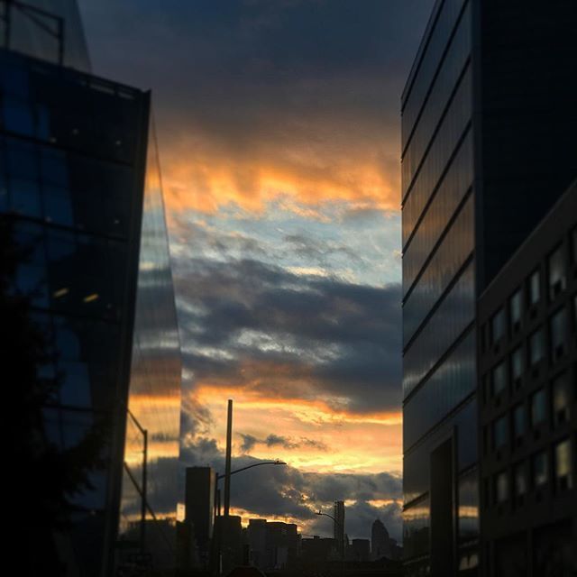 Sunset drama over LICin full swing
.
.
.
.
.
.
.
#lic #licqueens #licqns #queens #longislandcity #sunset #sunsetovernewyork #sunsetovernyc #gantrygram #courtsquare @gantrygram @licqns ift.tt/2HEUwcD