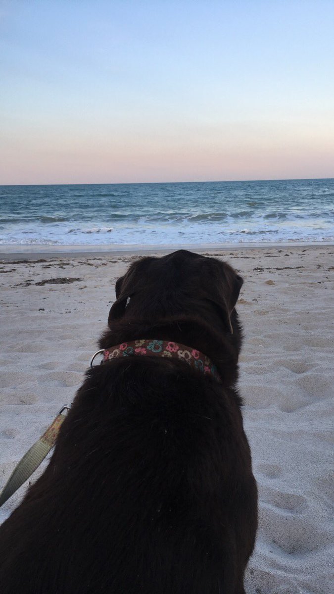 marissacomunale's tweet photo. She thought the waves were pretty but I thought she was prettier ❤️ https://t.co/IigcnzWrHj