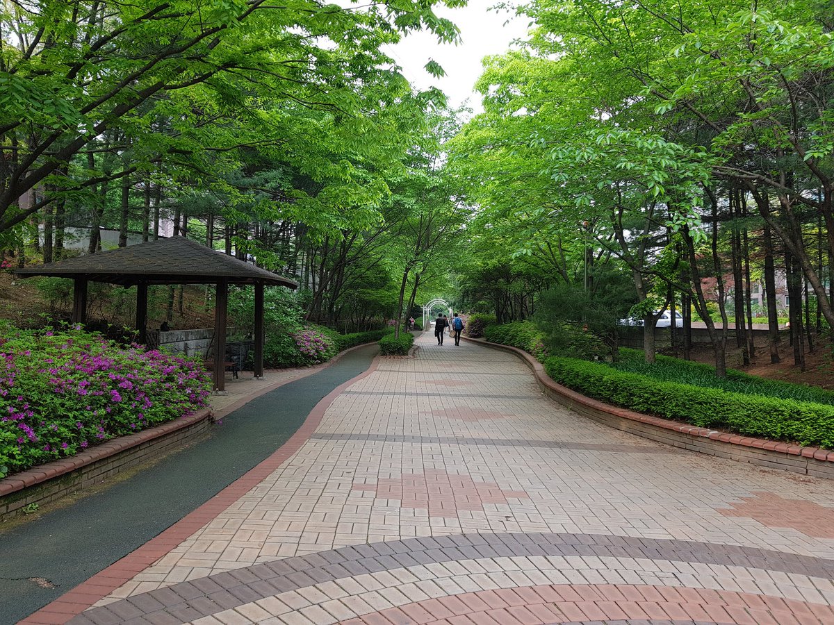 황진서 tweet media