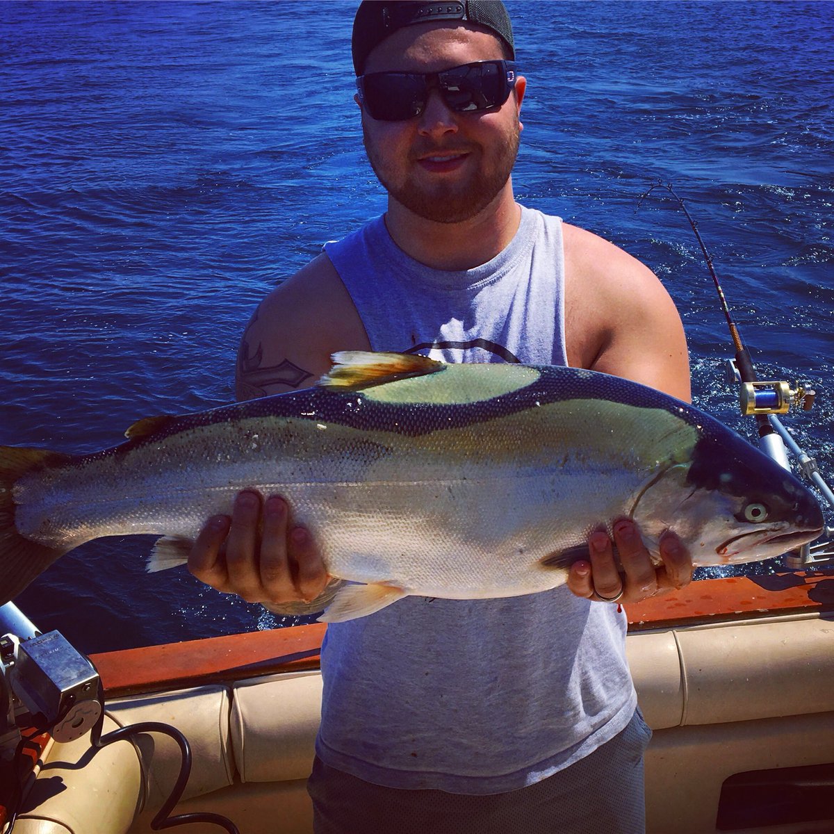OceanBangers's tweet photo. What are YOUR sweet catches?!? Comment @theoceanbangers in your post comments to get featured!!! 🎣😎  #bestfish #fishing https://t.co/rpP6VELH0e