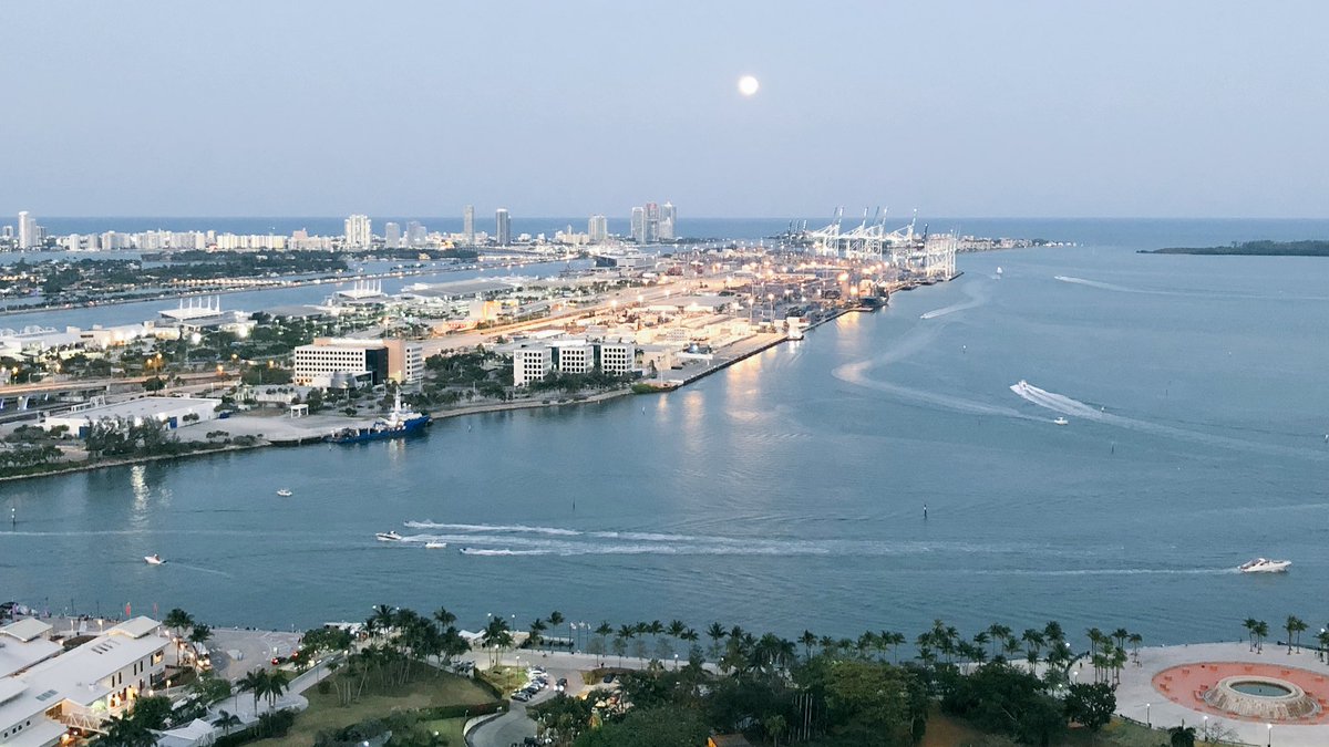 Anybody else think Miami with a #FullMoon rising is the most beautiful place on earth?