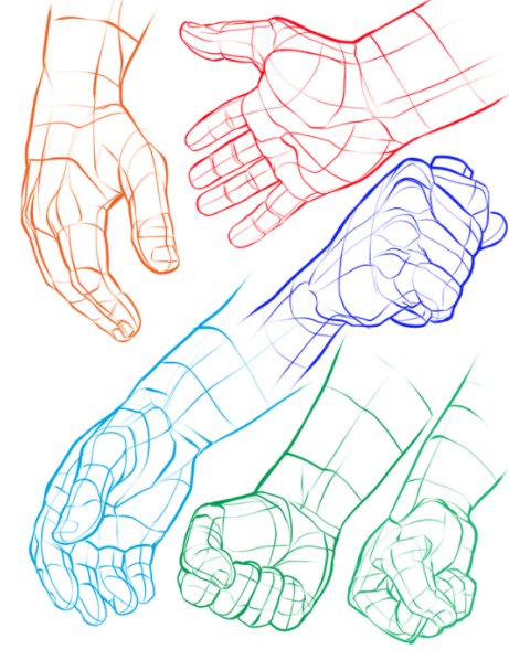 Hands Posing For Anatomy Drawing Set Vector Download