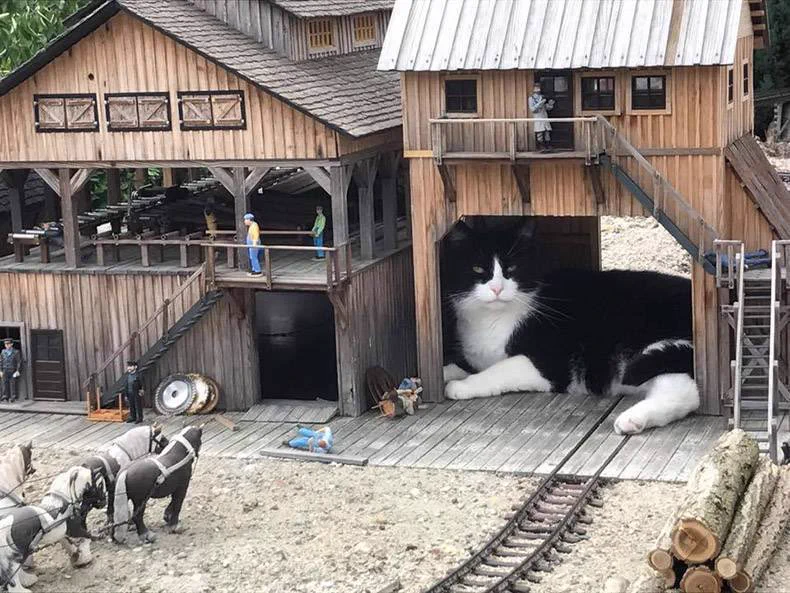 駅に化け猫が現れた？！wミニチュアの中に上手に隠れる猫が可愛すぎww
