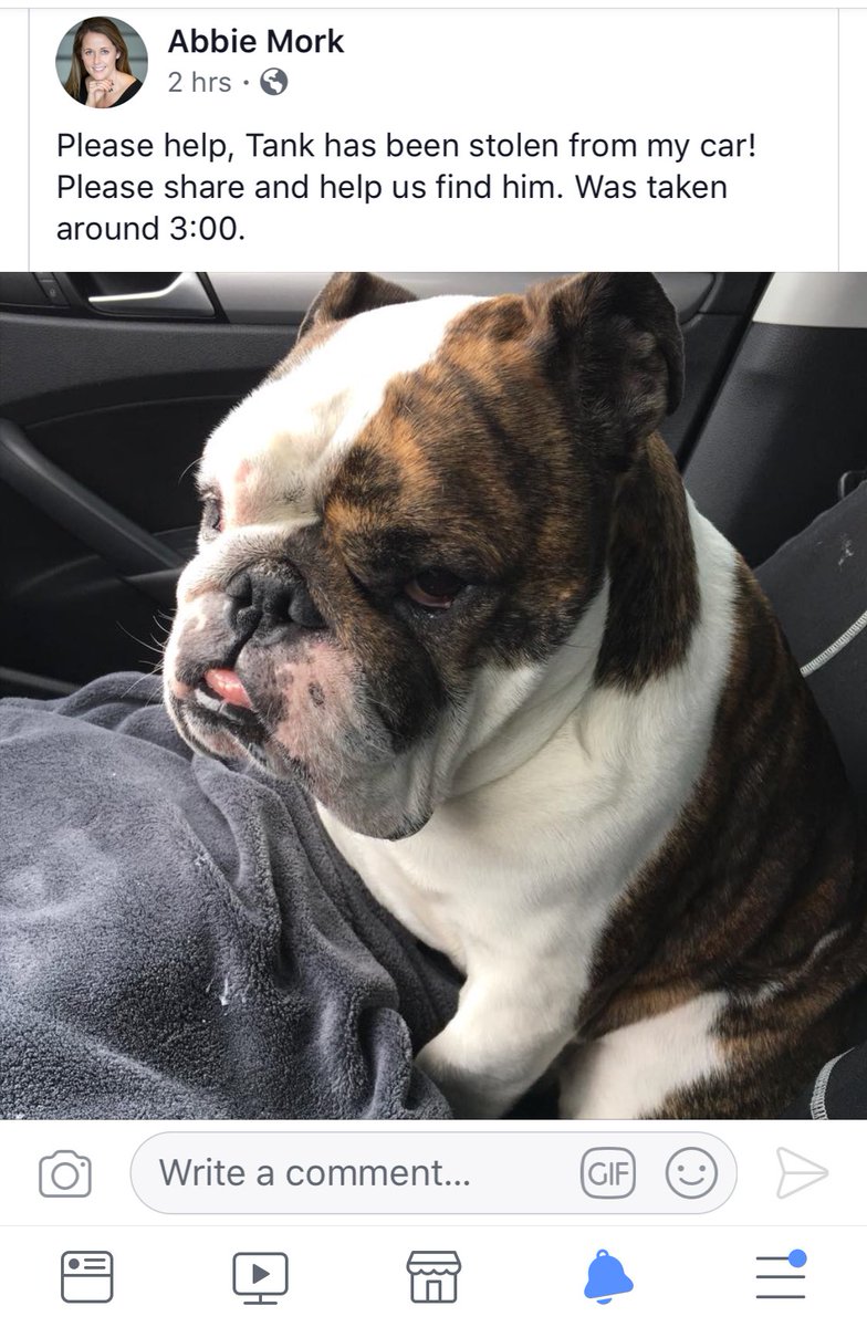 MagooCrew's tweet photo. HELP!  This bulldog, Tank, was stolen from the Jordan Creek Mall parking lot in West Des Moines by two men driving a white Avalanche. His family is desperately trying to find him. PLEASE SHARE!!!!! 😭😭😭😭😭😭😭😭 https://t.co/BLd234iyxn