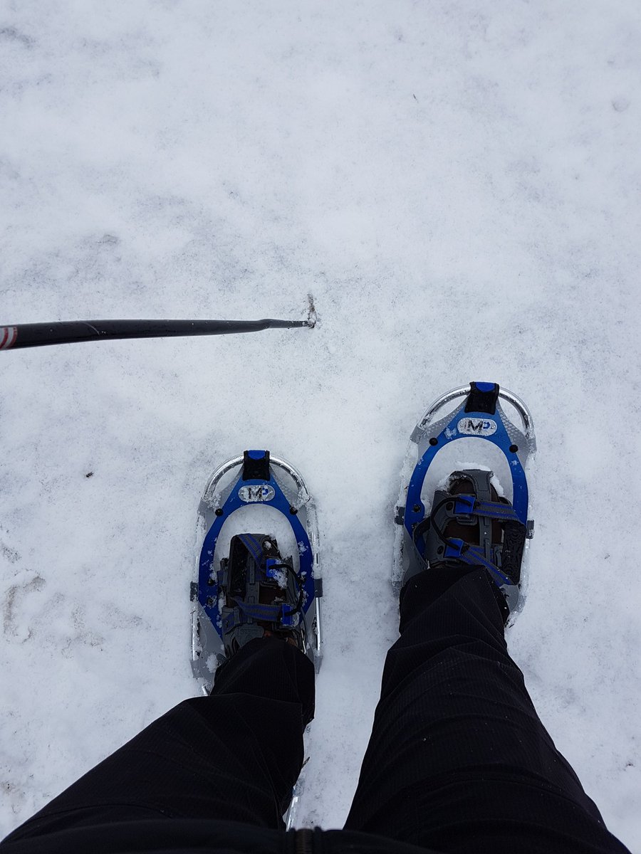 jessiejsk8's tweet image. Day 2. Woke up to snow and 0°. Not the weather all were hoping for today but we continued on. By noon the snow had stopped and then continued to melt once again at 7°. Ryan, u have a loving and and caring family that will never give up on u. 💚 #keepgoing #bepositive
#ryanshtuka