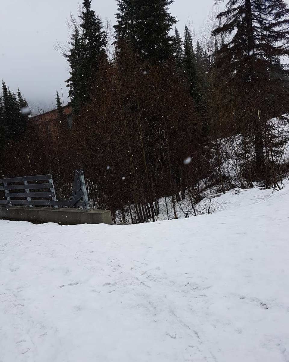 jessiejsk8's tweet image. Day 2. Woke up to snow and 0°. Not the weather all were hoping for today but we continued on. By noon the snow had stopped and then continued to melt once again at 7°. Ryan, u have a loving and and caring family that will never give up on u. 💚 #keepgoing #bepositive
#ryanshtuka