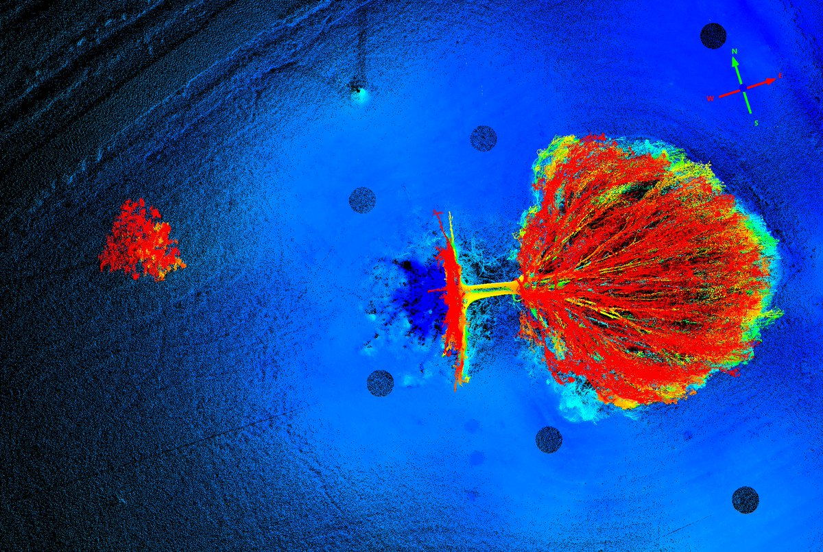 shaunlevick's tweet photo. #CycloneMarcus toppled some giants in Darwin, providing some interesting material for my #remotesensing students @CDUni who are learning about laser scanning this week the Leica #BLK360 #TLS @CRKennedySurvey https://t.co/WlObCKTucn