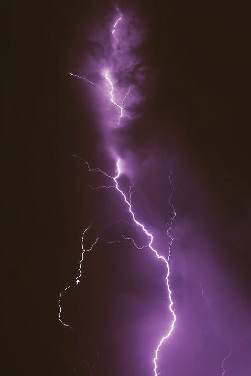 King’s Cage by Victoria Aveyard‘I live in a shrinking world where the only thing I can trust is Maven's obsession. Like the manacles, it is a shield and a slow, smothering death.’